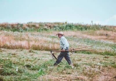 На Кипре запускают онлайн-карту местных производителей: «Τοπικά και Κυπριακά»